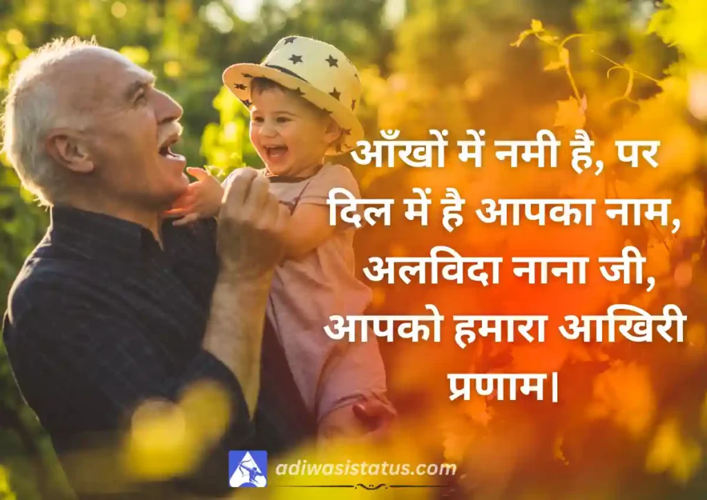 Nana Ji Ko Shat Shat Naman Shradhanjali Shayari