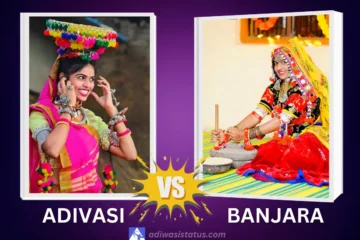Adivasi vs Banjara