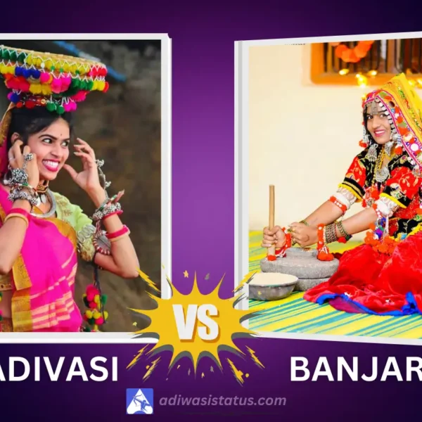 Adivasi vs Banjara