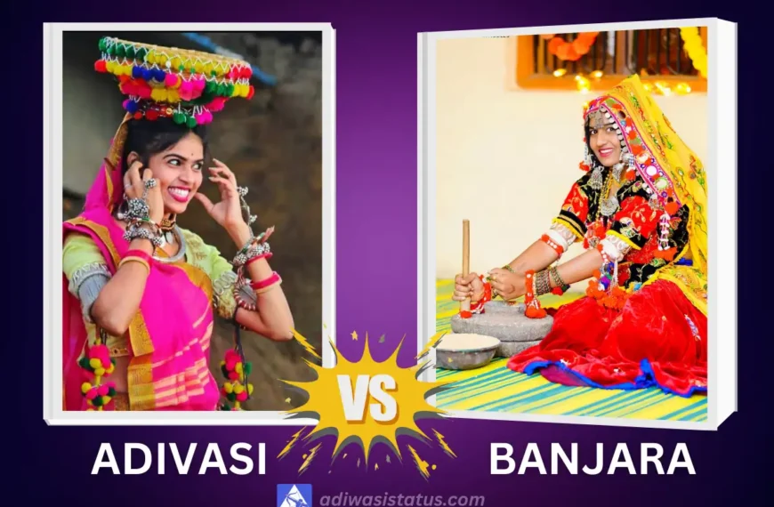 Adivasi vs Banjara