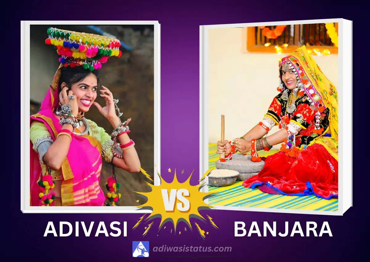 Adivasi vs Banjara