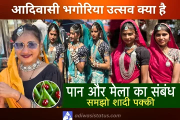 image of adivasi bhagoria mela