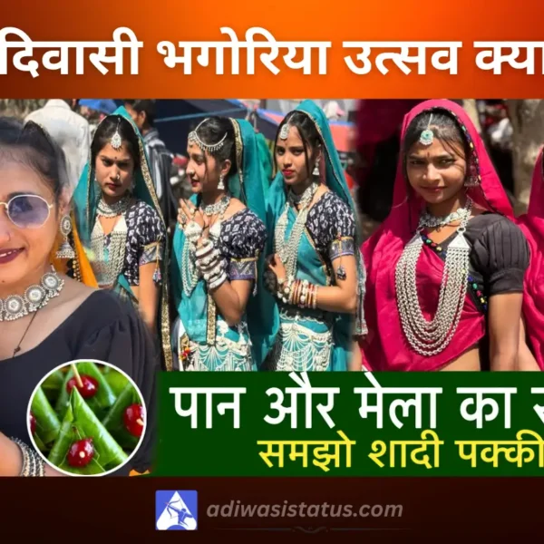 image of adivasi bhagoria mela