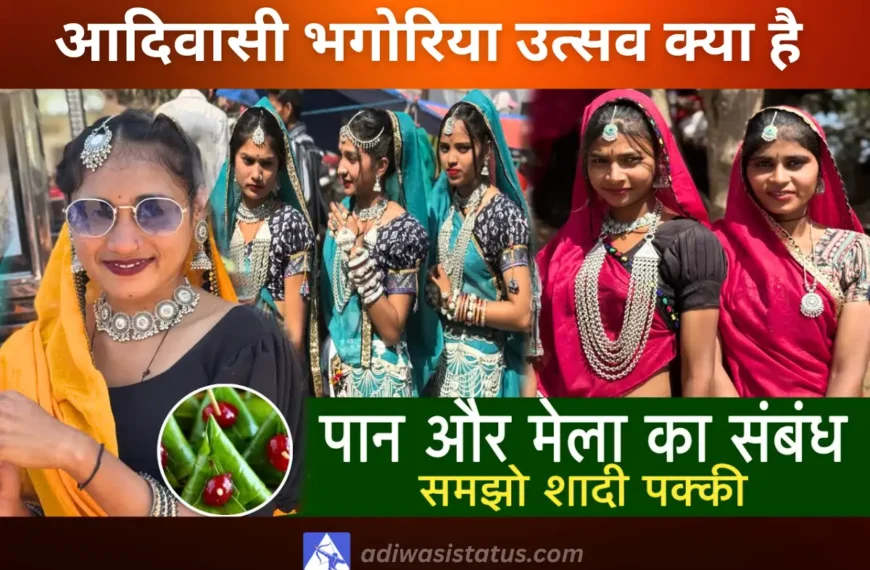 image of adivasi bhagoria mela