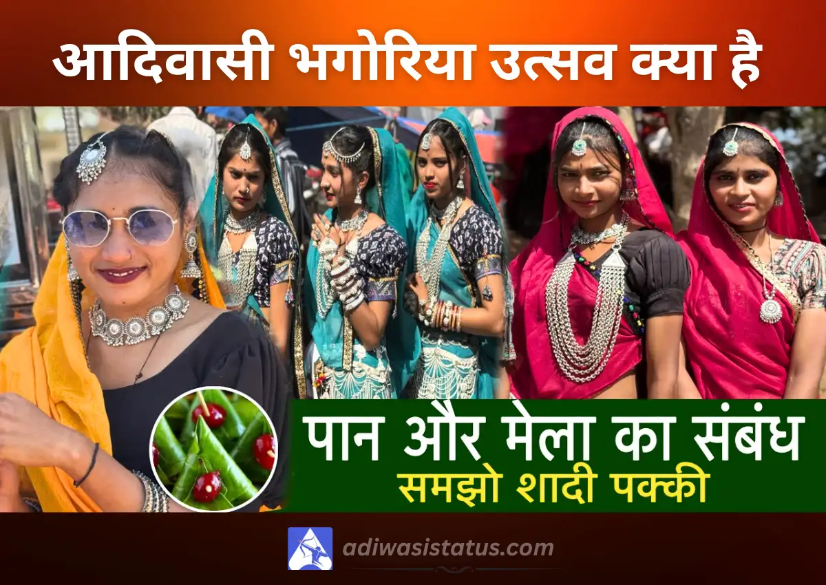 image of adivasi bhagoria mela