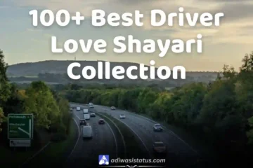 Best Driver Love Shayari Collection.webpBest Driver Love Shayari Collection