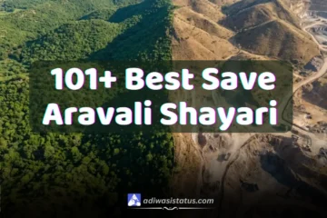 Save Aravali Shayari